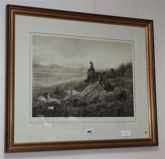 After Archibald Thorburn, photolithograph, Grouse in moorland, signed in pencil, 39 x 52cm, and a coloured